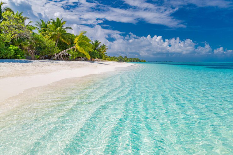  lagoon villa maldives