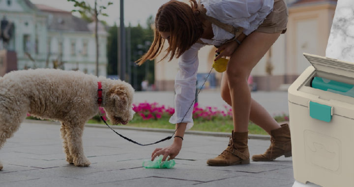 dog poop disposal system