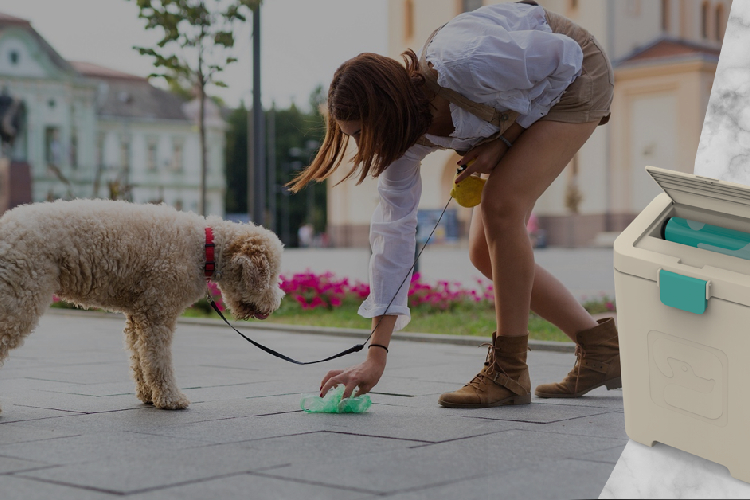 pet waste station