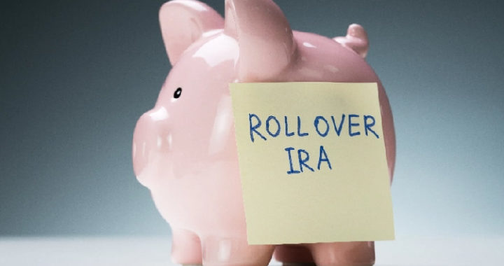 self directed ira