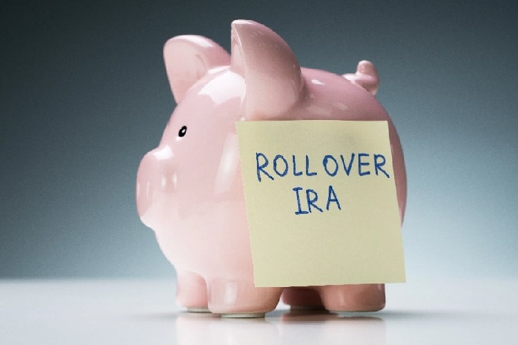 self directed ira
