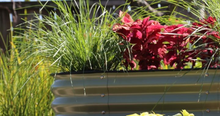 Raised beds for sale