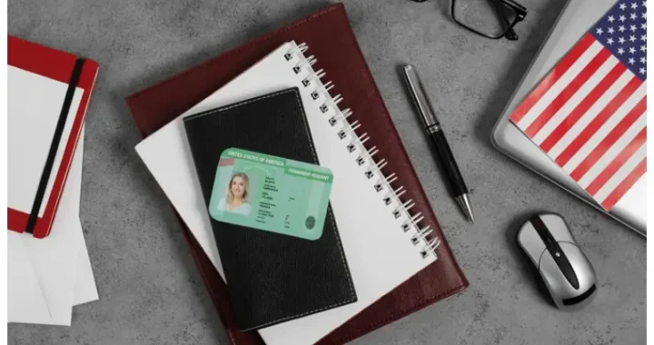 O-1 Visa Lawyer