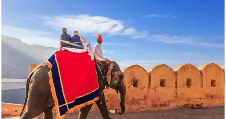 Tour Packages In Rajasthan