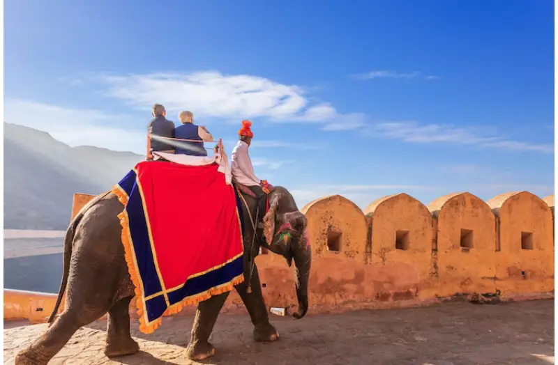 Tour Packages In Rajasthan